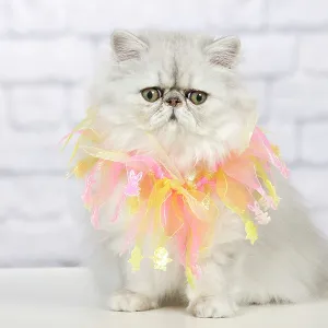 Cat - Persian Chinchilla wearing decorative scarf Cat - Persian Chinchilla wearing decorative scarf