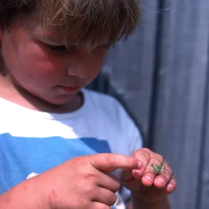 CHILD WITH INSECT (Green Cricket) CHILD WITH INSECT (Green Cricket)