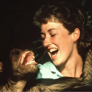 CHIMPANZEE - smiling with woman researcher at CHIMPANZEE - smiling with woman researcher at