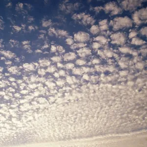 Cirrocumulus Clouds - mackerel sky