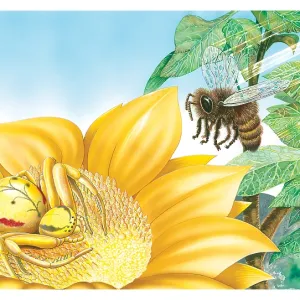 Crab Spider. It's not the flower that kills it's Crab Spider. It's not the flower that kills it's