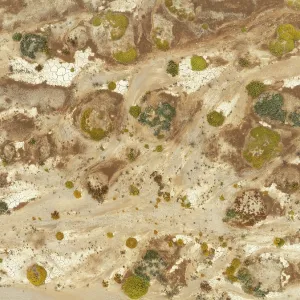 Cracked earth and dried up ground with sparse desert vegetation