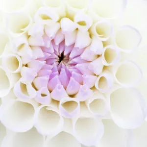 : Feature Idea - Patterns In Nature
