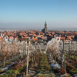 Dambach-la-Ville