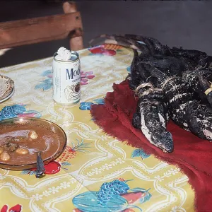 Dead Iguanas on table by Iguana Egg & Meat Soup Dead Iguanas on table by Iguana Egg & Meat Soup