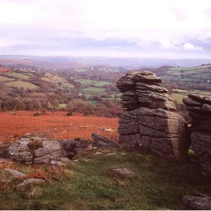 DEVON - Dartmoor, Haytor Down DEVON - Dartmoor, Haytor Down
