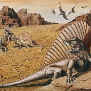 DINOSAUR - Dimetrodon group showing typical fin-back