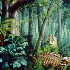 Dinosaur Illustration - Anklyosaurus - family Anklyosauridae