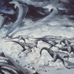 Dinosaur Illustration - VELOCIRAPTORS / DROMAEOSAURS