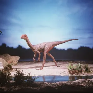 Dinosaur Model - Compsognathus Dinosaur Model - Compsognathus
