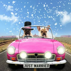 Dog - French Bulldog - pair driving car Dog - French Bulldog - pair driving car