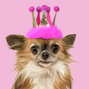Collections: Manipulated Images - Perfect For Greetings Cards