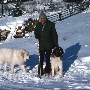 DOGS - Pyrenean Mountain Dog and St Bernard with owner DOGS - Pyrenean Mountain Dog and St Bernard with owner