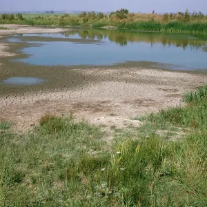 Drought - Romney Marsh, UK Drought - Romney Marsh, UK