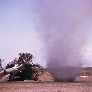 DUST DEVIL DUST DEVIL