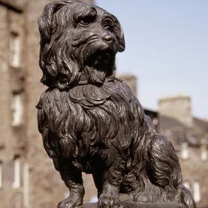 Edinburgh - statue of dog, Greyfriars Bobby (Dog) Edinburgh - statue of dog, Greyfriars Bobby (Dog)
