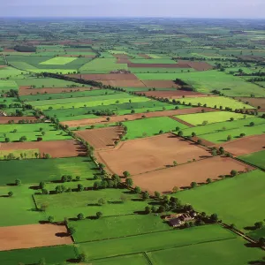 England - Aerial view, Field system near Helperby England - Aerial view, Field system near Helperby