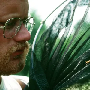 ENTOMOLOGIST - and grasshopper ENTOMOLOGIST - and grasshopper