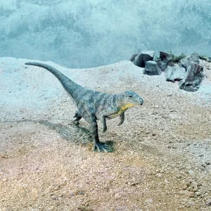 Euparkeria - Prehistoric Reconstruction Euparkeria - Prehistoric Reconstruction