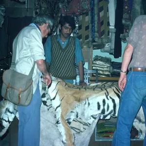 EXPLOITATION - Tiger skin for sale EXPLOITATION - Tiger skin for sale