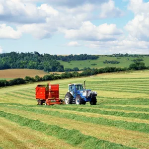 Farming - tractor & silage collector at work Farming - tractor & silage collector at work