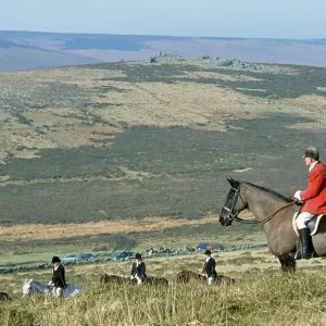 FOX HUNTING FOX HUNTING