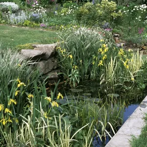 GARDEN POND GARDEN POND
