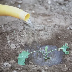GARDENING - watering hole GARDENING - watering hole