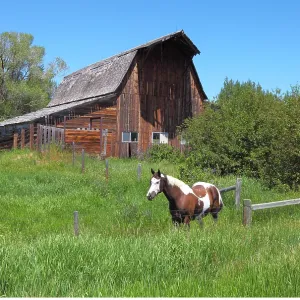 geography / travel, USA, Idaho, Tetonia, Barn and geography / travel, USA, Idaho, Tetonia, Barn and