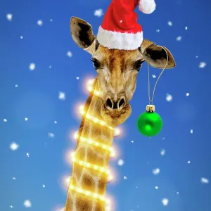 Giraffe Giraffe