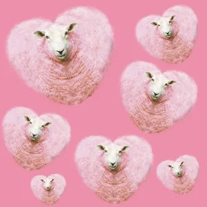 Group of pink heart-shaped sheep background illustration Group of pink heart-shaped sheep background illustration