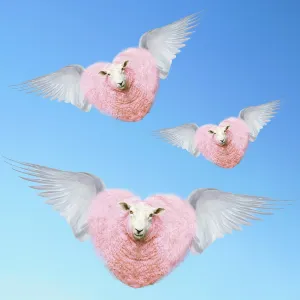 Group of pink heart-shaped sheep flying with wings Group of pink heart-shaped sheep flying with wings