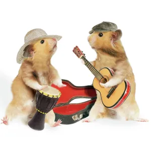 Hamsters - playing musical instruments Hamsters - playing musical instruments