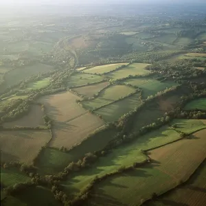 HEDGEROWS - Field pattern, Aerial view