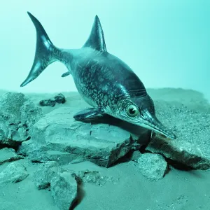ICTHYOSAUR - model ICTHYOSAUR - model