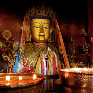 Lhasa temple Yak butter candles Lhasa temple Yak butter candles