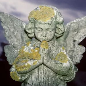LICHEN - On Stone Angel LICHEN - On Stone Angel