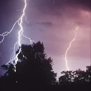 LIGHTNING - striking trees