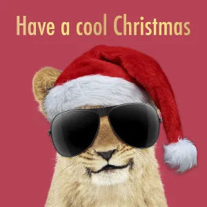 Lion cubs (approx 16 weeks old) wearing Christmas Lion cubs (approx 16 weeks old) wearing Christmas