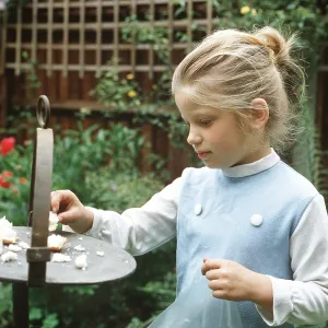 Little girl feeding the birds Little girl feeding the birds