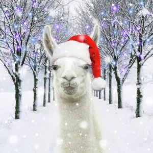 Llama wearing a red Christmas Santa hat in a snowy Llama wearing a red Christmas Santa hat in a snowy