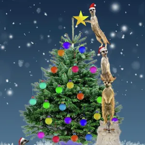 Meerkats decorating Christmas tree by standing on Meerkats decorating Christmas tree by standing on