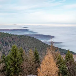 Mont Sainte Odile