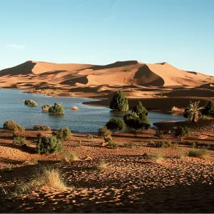 MOROCCO - Oasis and Erg Chebbi desert sand dunes MOROCCO - Oasis and Erg Chebbi desert sand dunes