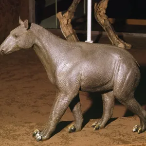 Morpus - prehistoric reconstruction Morpus - prehistoric reconstruction