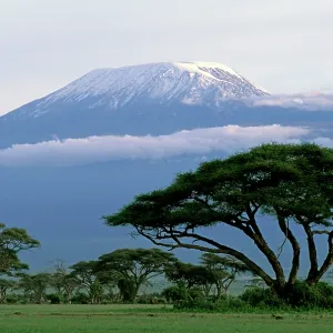 Mt Kilimanjaro in Tanzania