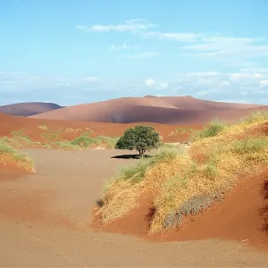 NAMIB DESERT - DUNES NAMIB DESERT - DUNES