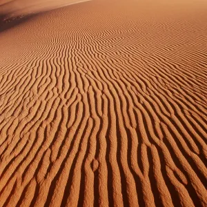 NAMIB DESERT - Sand Dunes NAMIB DESERT - Sand Dunes
