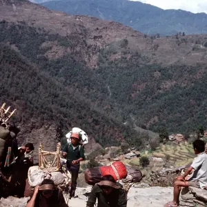 NEPAL - Porters on the trail, 5, 000 ft above Pokhara
