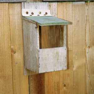 NEST BOX - OPEN FRONT NEST BOX - OPEN FRONT